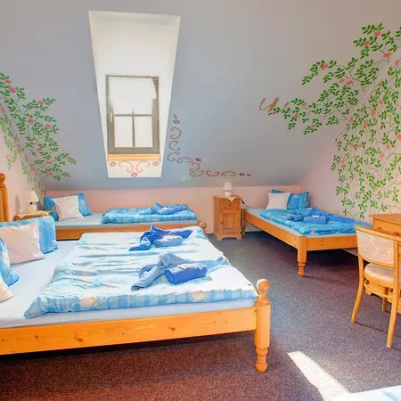 Otel Borovansky Mlyn