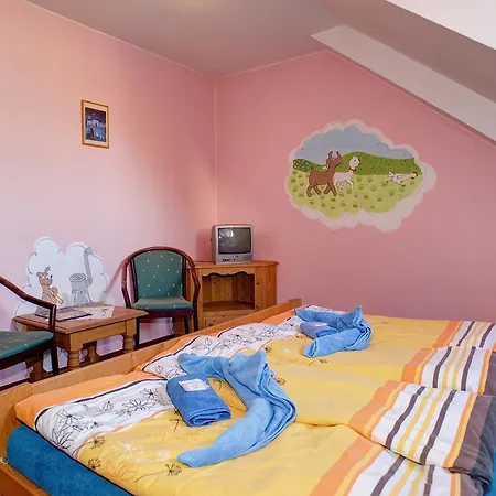 Borovansky Mlyn Hotel 3*