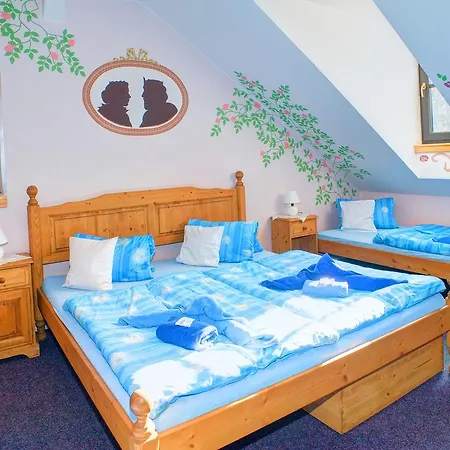 Otel Borovansky Mlyn 3*