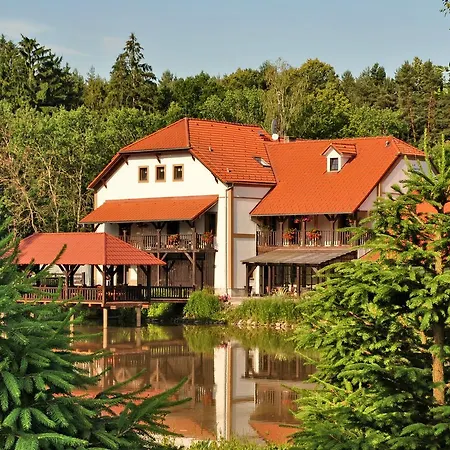 Borovansky Mlyn Otel