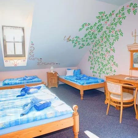 Hotel Borovansky Mlyn Borovany (Ceske Budejovice)