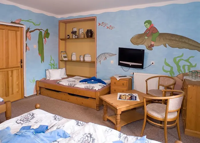 Hotel Borovansky Mlyn 3*