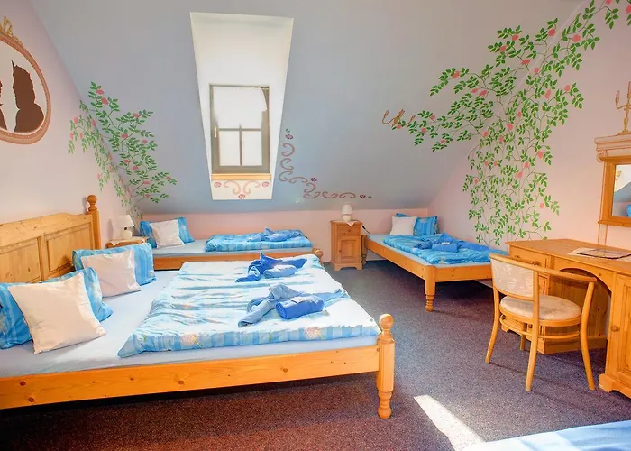 Hotel Borovansky Mlyn