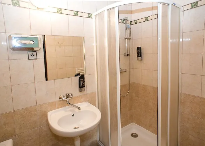 Borovansky Mlyn Hotell 3*