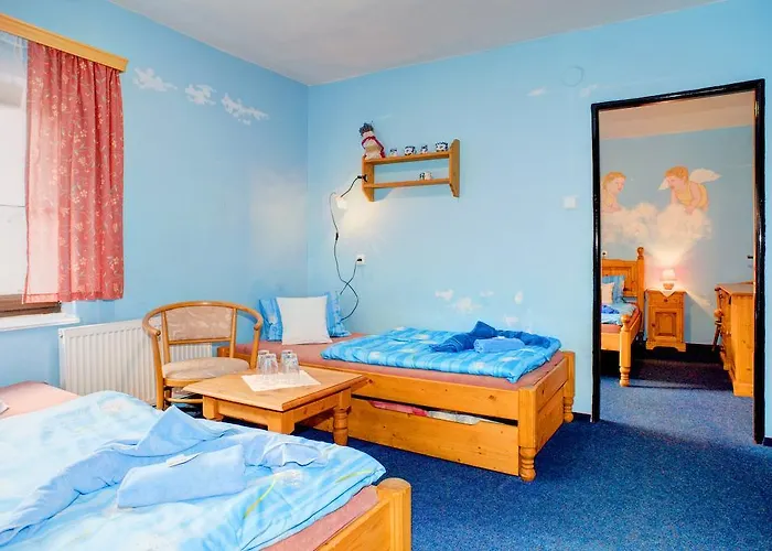Hotel Borovansky Mlyn 3*