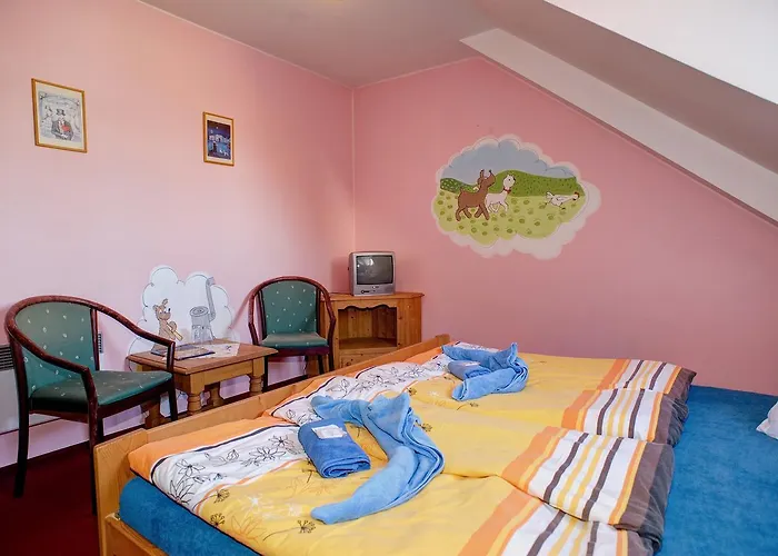 Borovansky Mlyn Hotell 3*