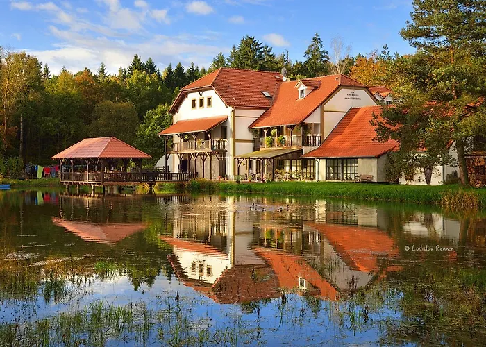 Hotel Borovansky Mlyn 3*