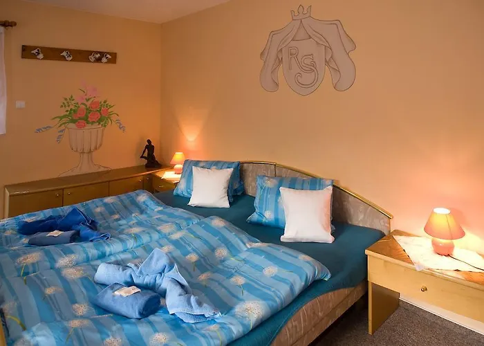 Hotell Borovansky Mlyn 3*
