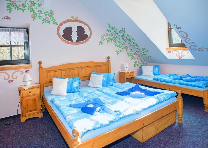 Hotel Borovansky Mlyn 3*