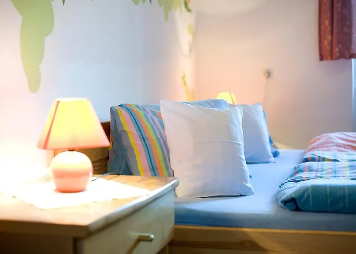 Hotel Borovansky Mlyn 3*