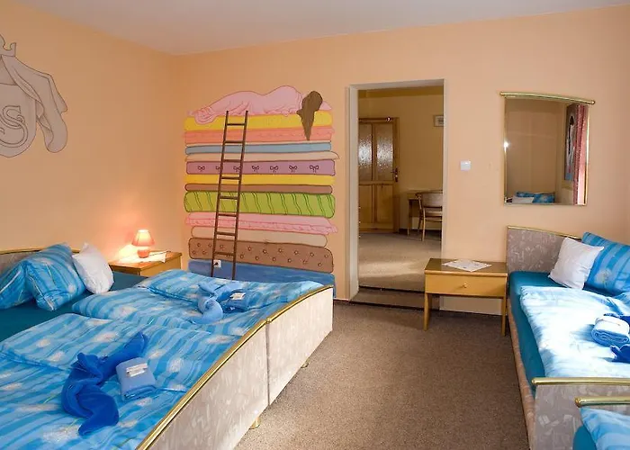 Hotel Borovansky Mlyn 3*